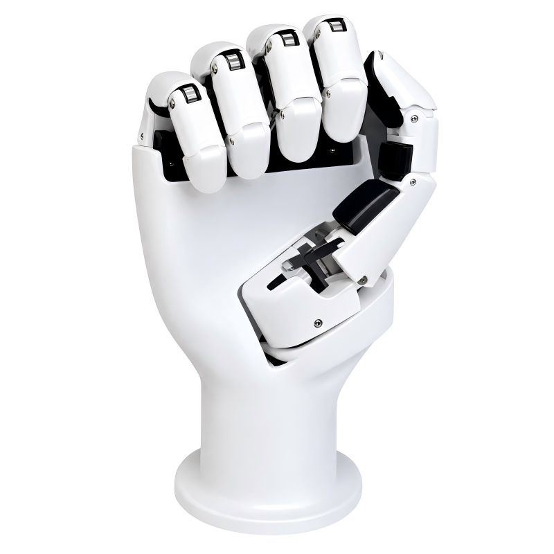 AmazingHand 6 Dof Tangan Robot - Robot Gripper ulasan dan harga